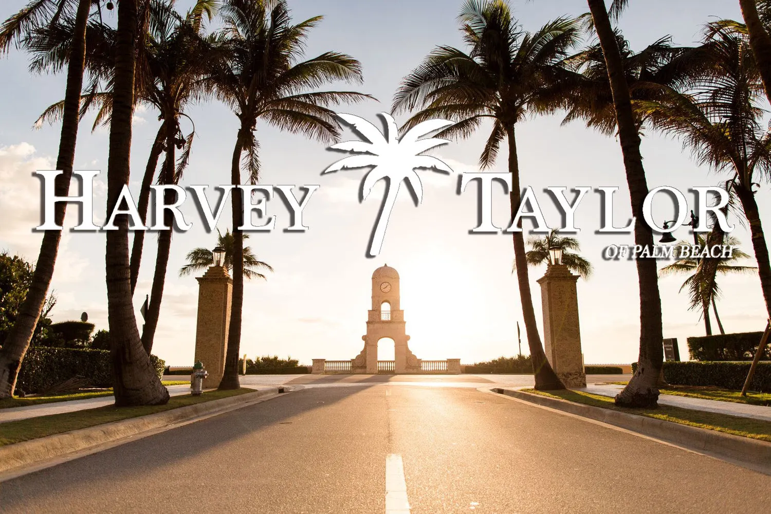 Harvey Taylor of Palm Beach logo over Worth Avenue palm trees